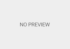 Process Server Florida